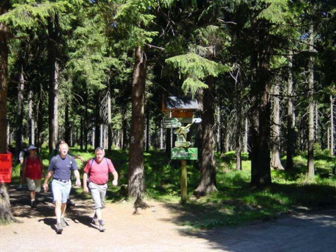 Gasthof Thomas Muentzer Steinheid Kültér fotó