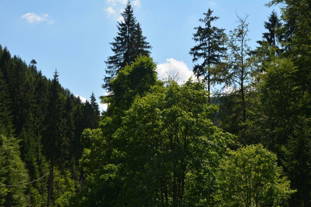 Gasthof Thomas Muentzer Steinheid Kültér fotó